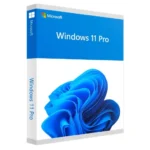 Microsoft-Windows11-Professional.webp